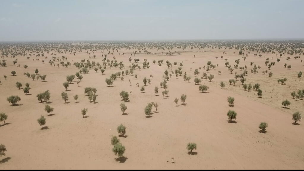A fragile Great Green Wall for Africa